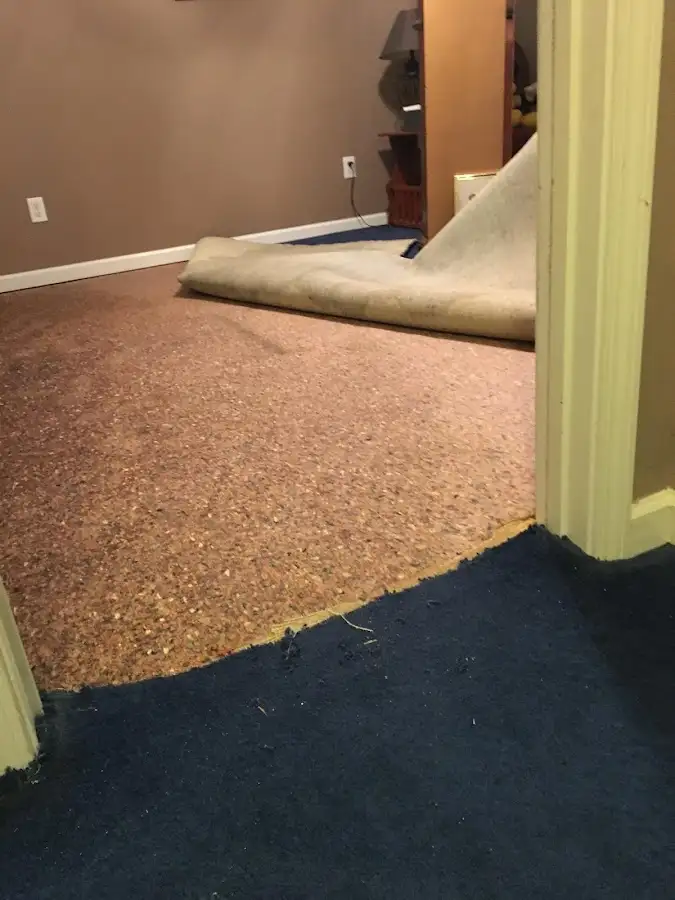 Carpet pad removal revealing water damage during Water Mitigation Services in Cloverly